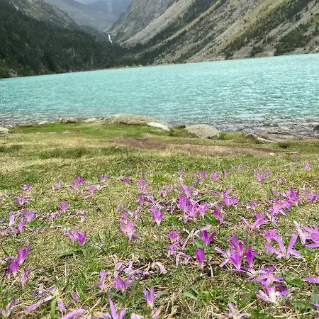 شقة Le Navarre, T2 Familial Bien Equipe En Rdc , En Centre-ville