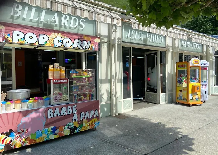 Appartement Le Navarre, T2 Familial Bien Equipe En Rdc , En Centre-ville