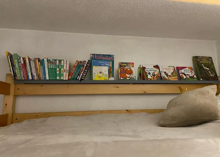 Le Navarre, T2 Familial Bien Equipe En Rdc , En Centre-ville Cauterets