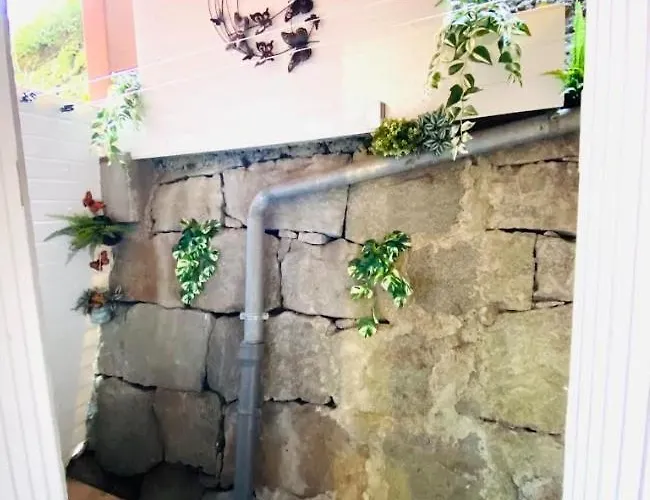 Le Navarre, T2 Familial Bien Equipe En Rdc , En Centre-ville Appartement Cauterets