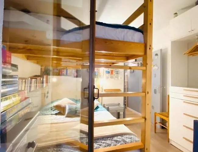 Le Navarre, T2 Familial Bien Equipe En Rdc , En Centre-ville * Cauterets